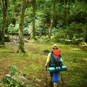 Meet your Posher, Shannon